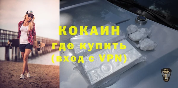 сатива Арсеньев