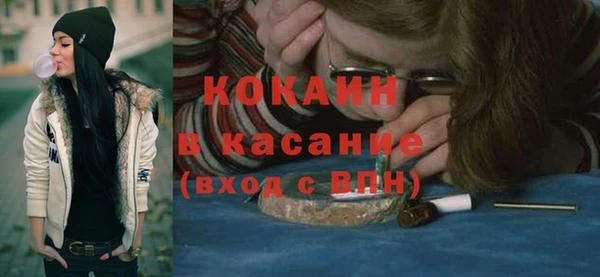 сатива Арсеньев