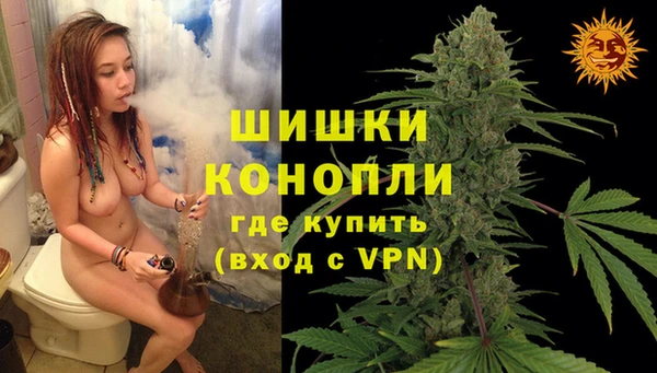крисы Балахна