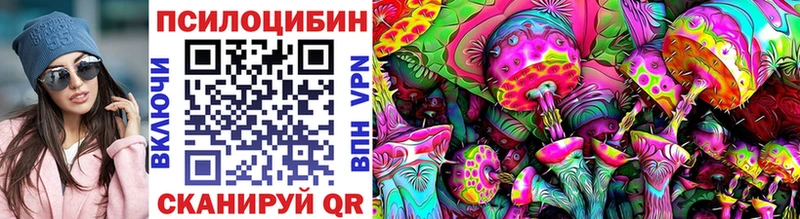 Галлюциногенные грибы Psilocybine cubensis  Ленинск 